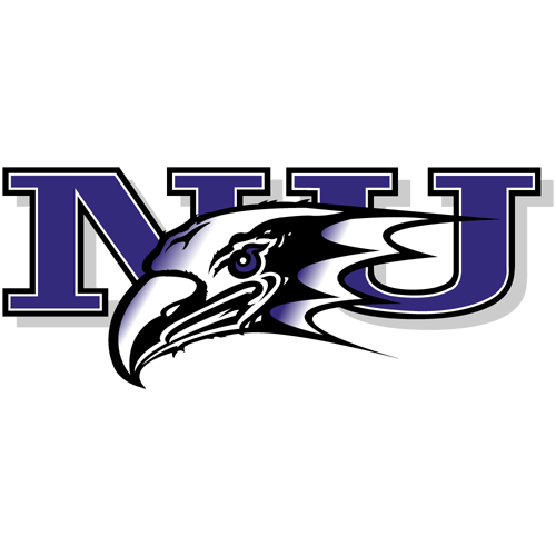 Niagara logo